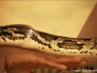 Bollywood ja a enticing snake